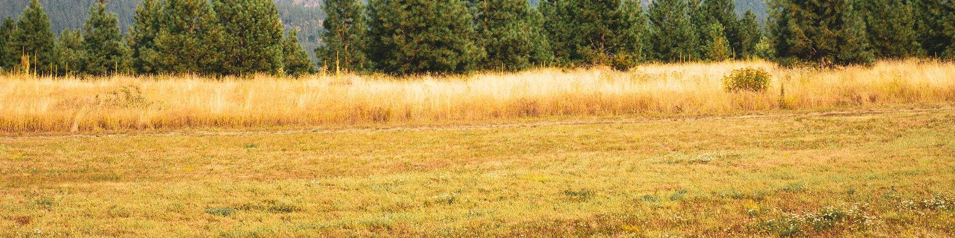 Chewelah Washington with Colville National Forest in distance