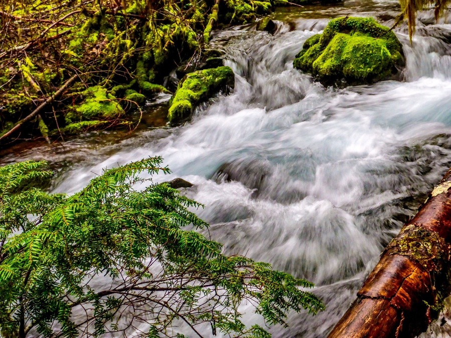 The cascades on Huckleberry Creek don't only consist of a little fairy-tale waterfall fit for woodfolk and elven elders.  The things rage under the forest road and keep raging down its banks until they are clean out of sight.