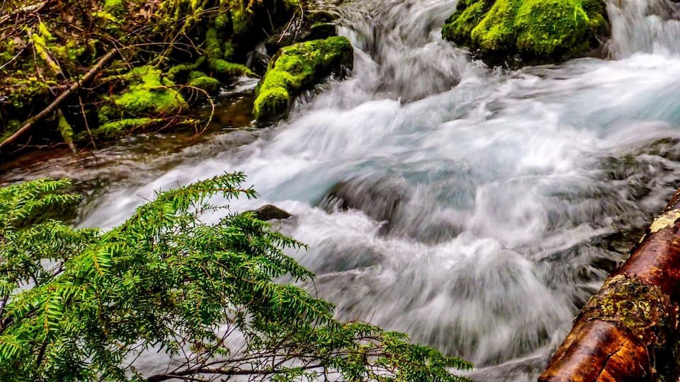 A fast-flowing river with moss-covered rocks and green foliage.