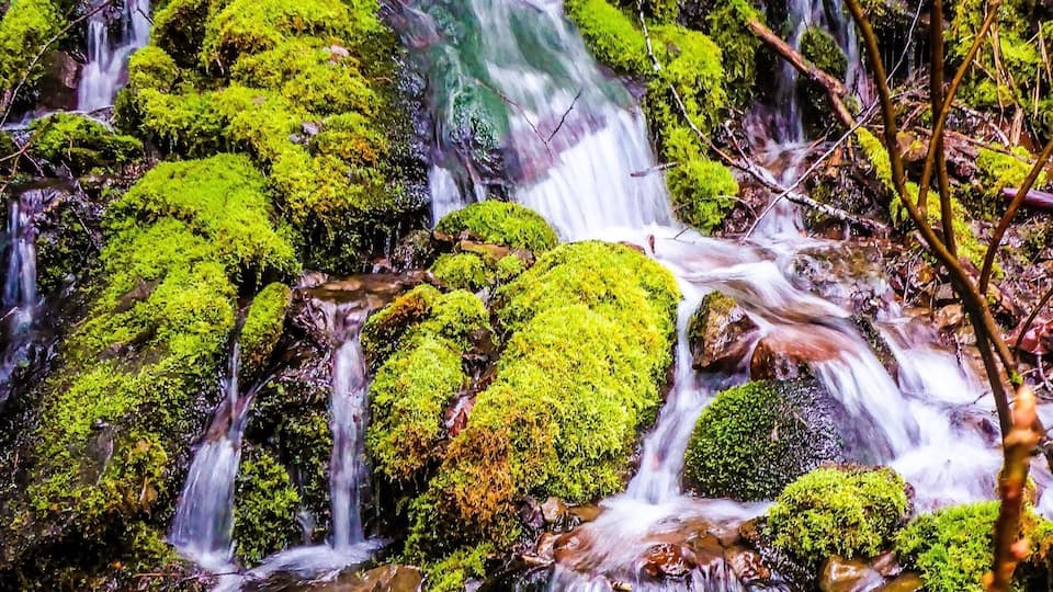 A lush forest with a cascading waterfall surrounded by moss-covered rocks.