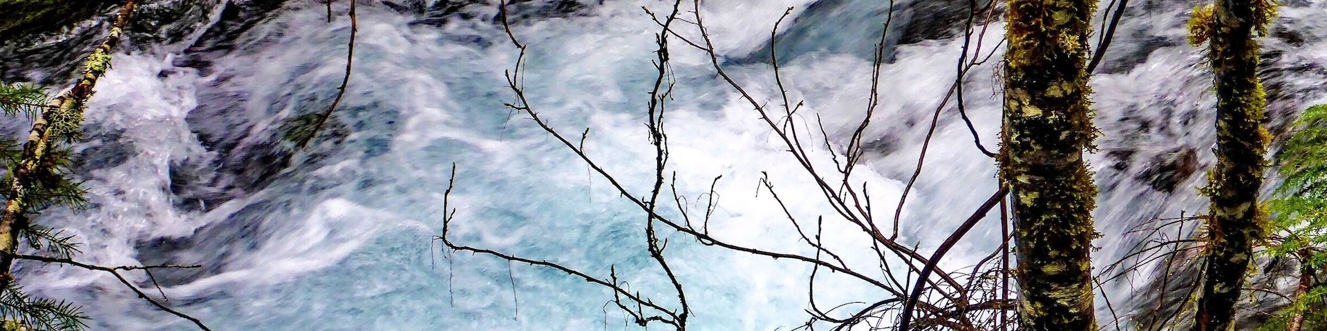 The cascades on Huckleberry Creek don't only consist of a little fairy-tale waterfall fit for woodfolk and elven elders. The things rage under the forest road and keep raging down its banks until they are clean out of sight.