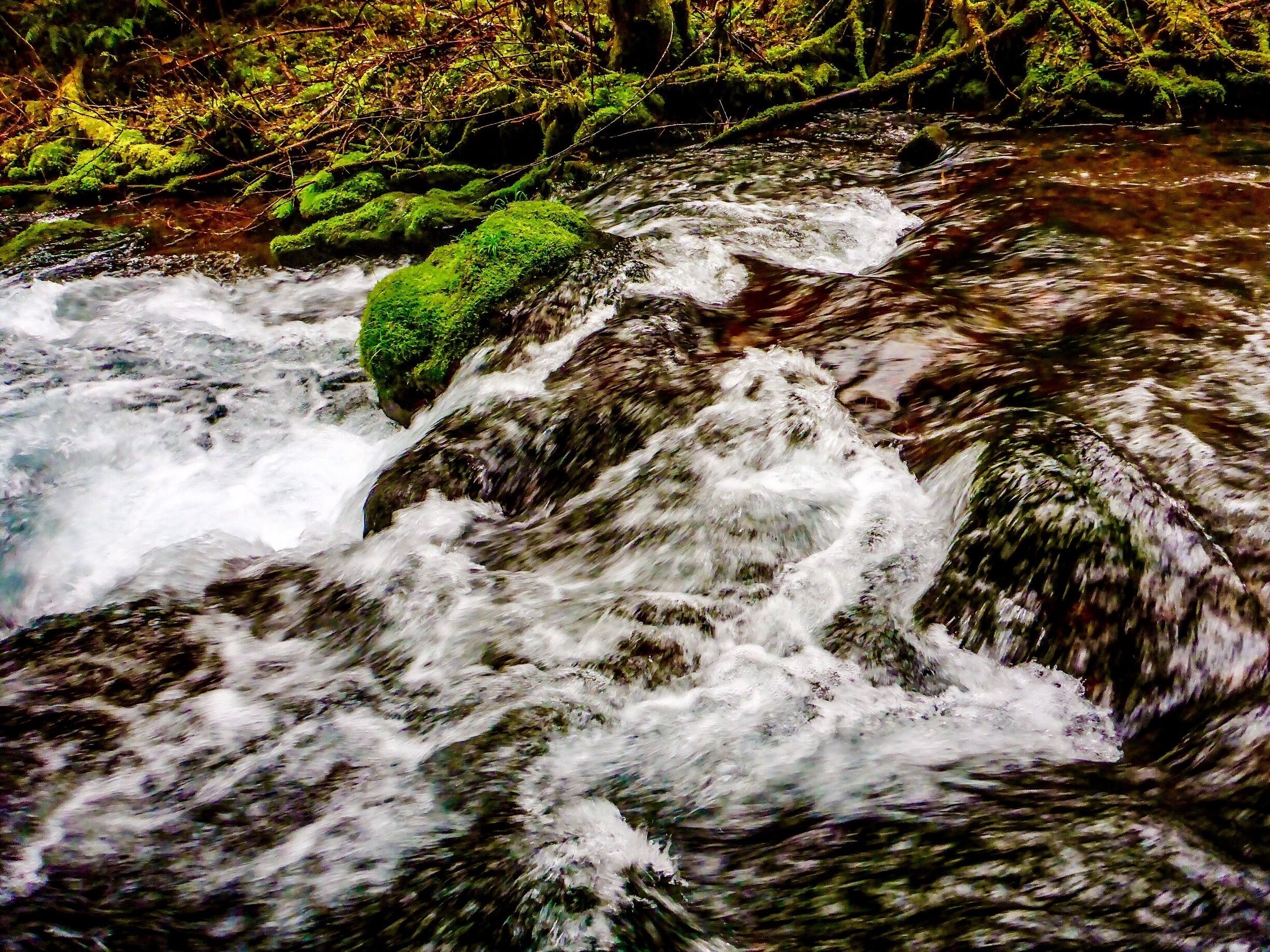 The cascades on Huckleberry Creek don't only consist of a little fairy-tale waterfall fit for woodfolk and elven elders.  The things rage under the forest road and keep raging down its banks until they are clean out of sight.