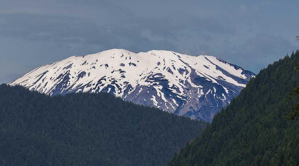 This year marks the thirty-fifth anniversary of the eruption of Mt. Saint Helens. As you can imagine, the place is buzzing with tourists even more so than usual.
But if all you want to do is get a clear look at a mighty big chunk of it, you could do worse than to travel the back roads around Cougar and look up from time to time.
This photo was taken at the Yale Reservoir, probably about 3 or 4 miles outside Cougar, Washington. There are trails and vantage points all through the area, some of them marked, some, not so much.
If you don't like the view in one place, just move onto the next.
And if you feel the tug too hard from the visitor centers and the souvenir shop, they're just a short drive away.
But give the countryside a try first. The views are so beautiful, you may never get to those tourist centers after all.