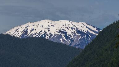 This year marks the thirty-fifth anniversary of the eruption of Mt. Saint Helens. As you can imagine, the place is buzzing with tourists even more so than usual.
But if all you want to do is get a clear look at a mighty big chunk of it, you could do worse than to travel the back roads around Cougar and look up from time to time.
This photo was taken at the Yale Reservoir, probably about 3 or 4 miles outside Cougar, Washington. There are trails and vantage points all through the area, some of them marked, some, not so much.
If you don't like the view in one place, just move onto the next.
And if you feel the tug too hard from the visitor centers and the souvenir shop, they're just a short drive away.
But give the countryside a try first. The views are so beautiful, you may never get to those tourist centers after all.