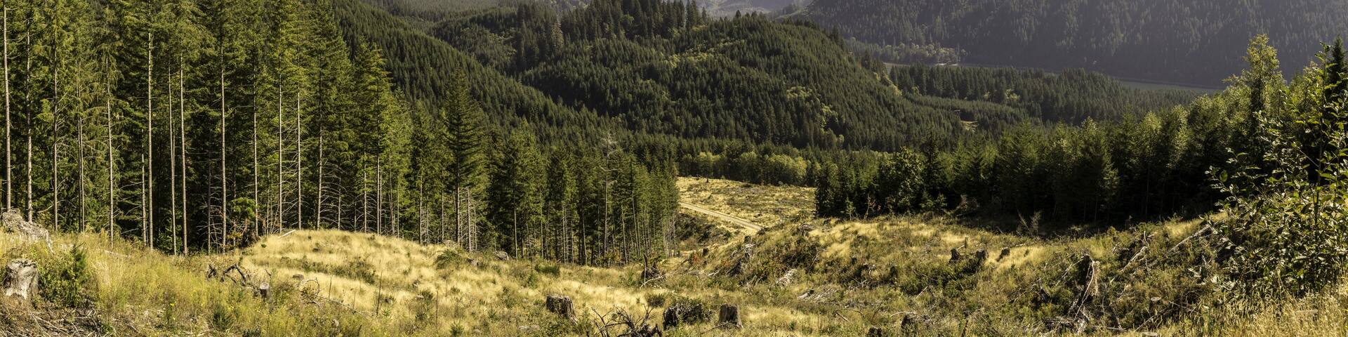 Panoramic view of the mountains and valley near Merrill Lake at Rd81 at Cowlitz county, Washington, USA.