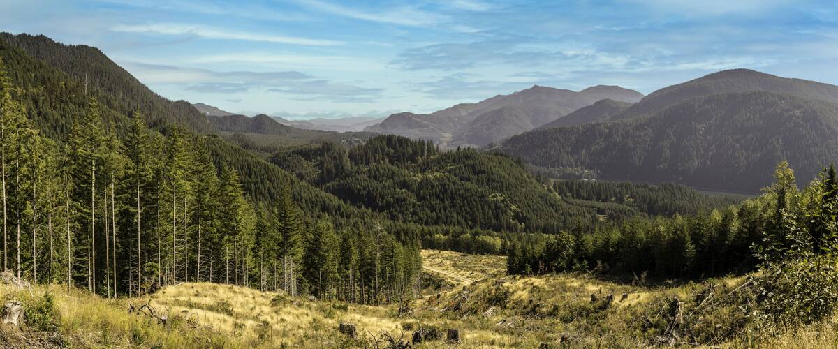 A mountainous landscape with dense forests and a clear sky.