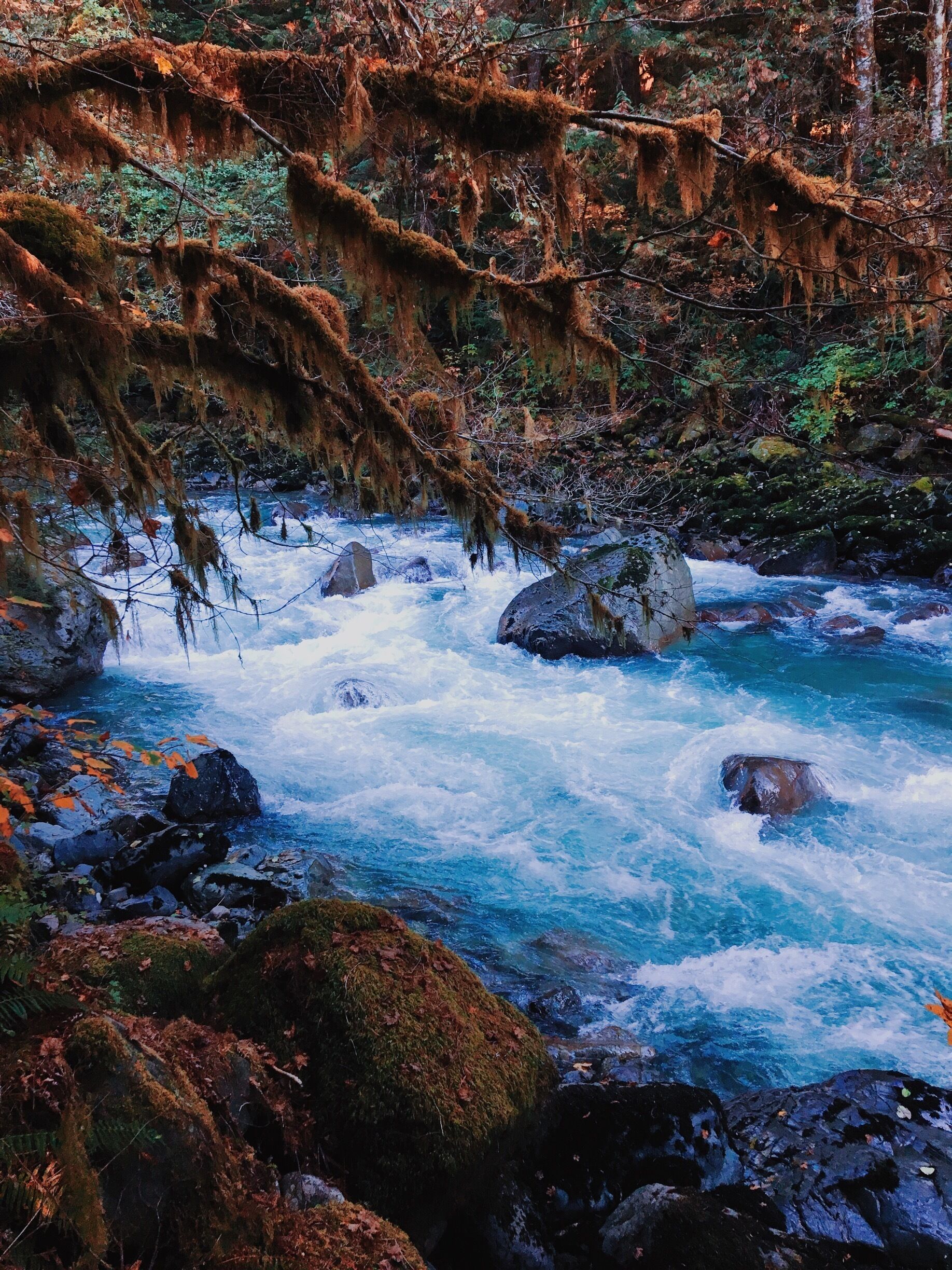 A fast-flowing river with moss-covered rocks and dense forest.