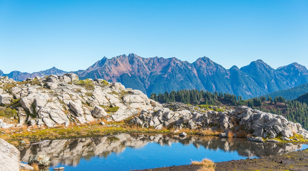 water reflection of the top mountain,some scenic view of mt Shuksan in Artist point area on the day,summer,Washington,USA.; Shutterstock ID 359604230; purchase_order: SP-1269 HA 2018 Batch 1; Order: ;