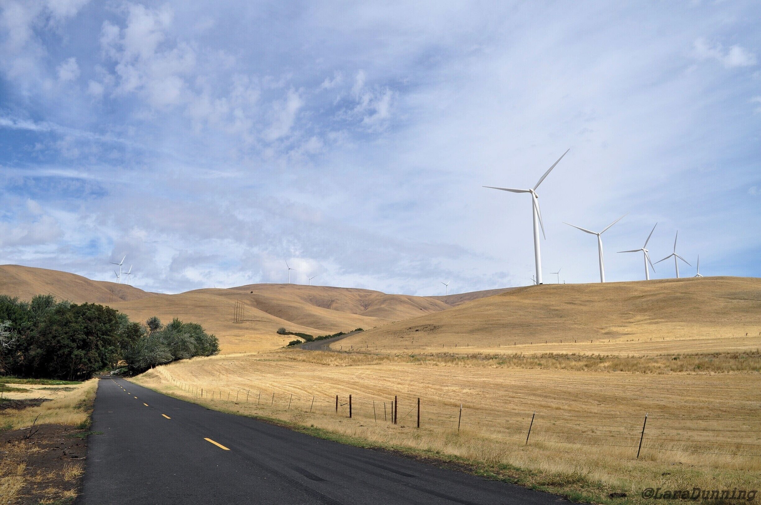 Maryhill Loops Road was completed in 1913 and was the result of Sam Hill's advocacy for modern roads being built in the Northwest. 

The road is 10 miles long, has 25 curves (8 of them hairpin), an elevation gain of 850 ft. and a 5% grade. 

Pedestrians and bikers can use the road most days 7 am to 5 pm. A couple of times a year the road is open to vehicles.

#roadtrip #hiking #biking #explorewashington