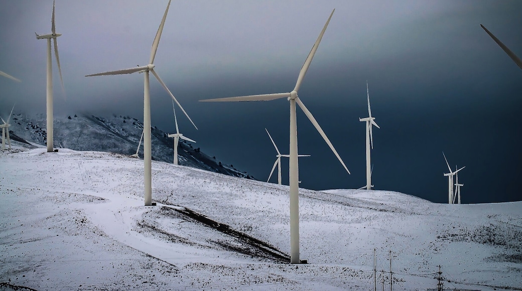 The Wind Farm located along highway 97 in Goldendale, OR. You cannot appreciate how stunning these structure are unless you've see them.
#StunningStructures