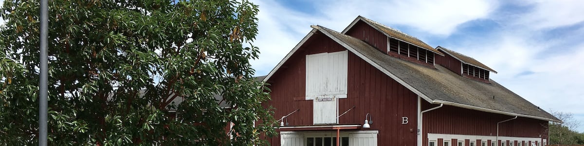 Stop by the wine and cheese shops at Greenbank Farm to level up your island picnic. And if you need dessert, the pies at Whidbey Pies are great.