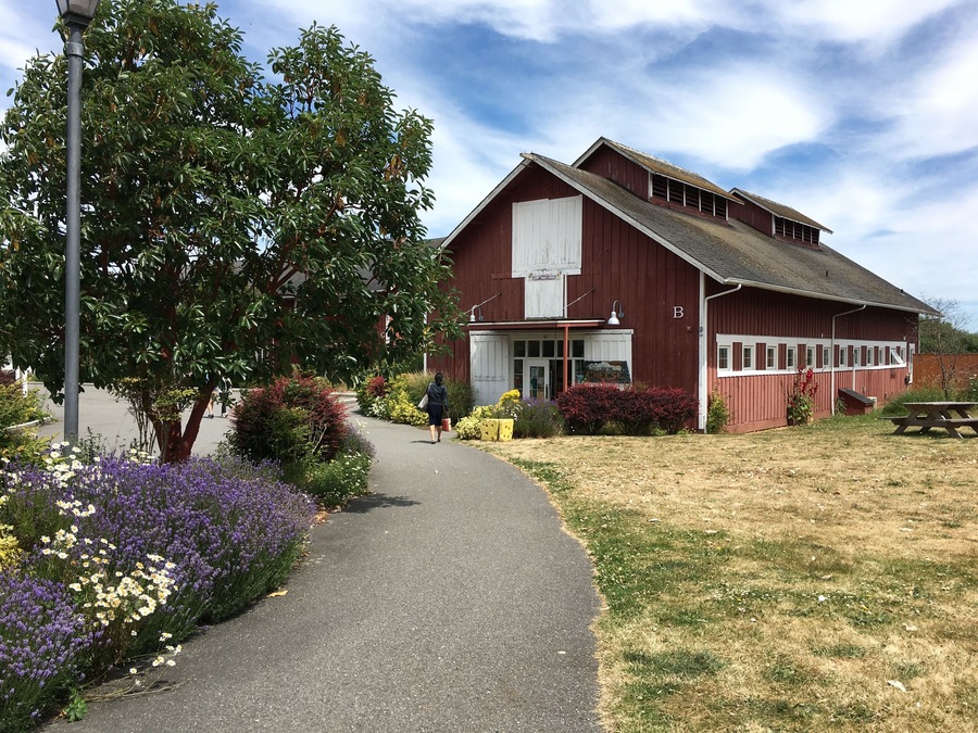 Stop by the wine and cheese shops at Greenbank Farm to level up your island picnic. And if you need dessert, the pies at Whidbey Pies are great.