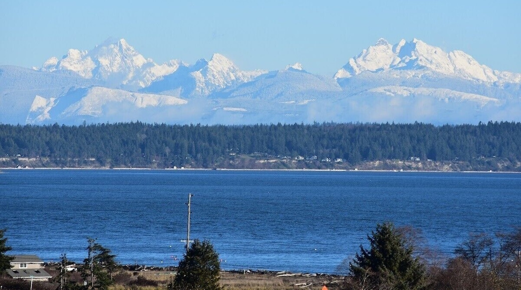 Greenbank Farm off-leash area.