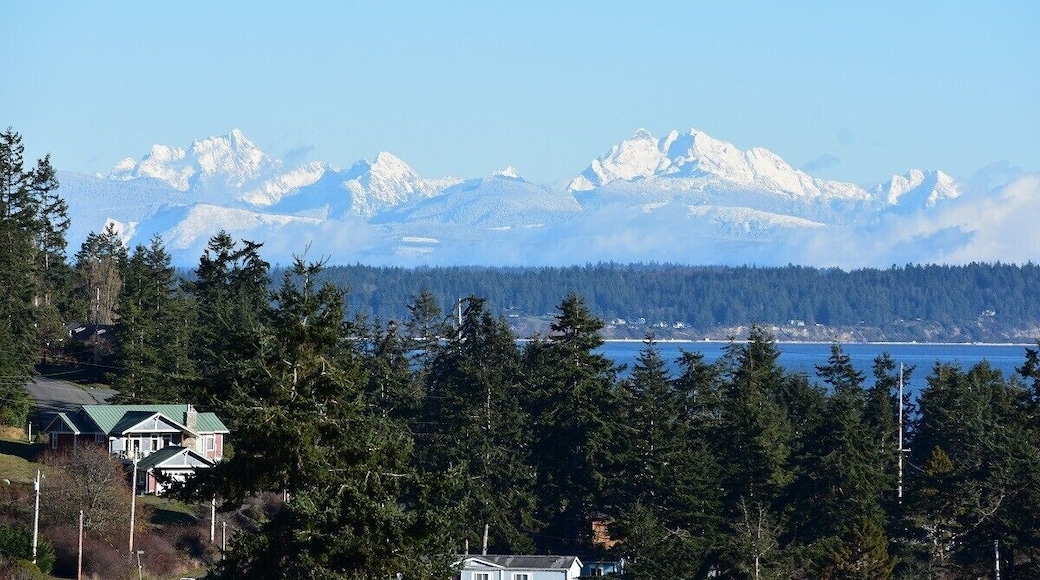 Greenbank Farm off-leash area.