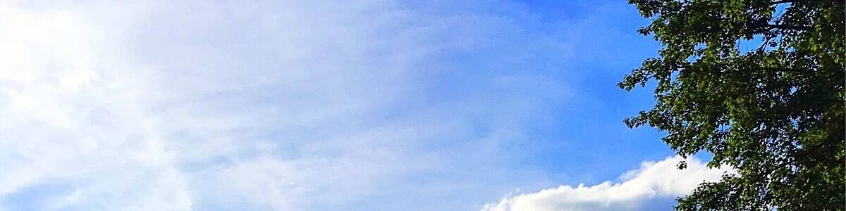 This beautiful River flows through the town of Greenwater. It's fun to play in or just relax next to. It was hard to say goodbye to this spectacular gem.