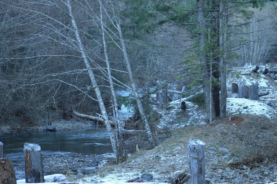 Un río serpenteando por una zona boscosa con nieve en el suelo y árboles.