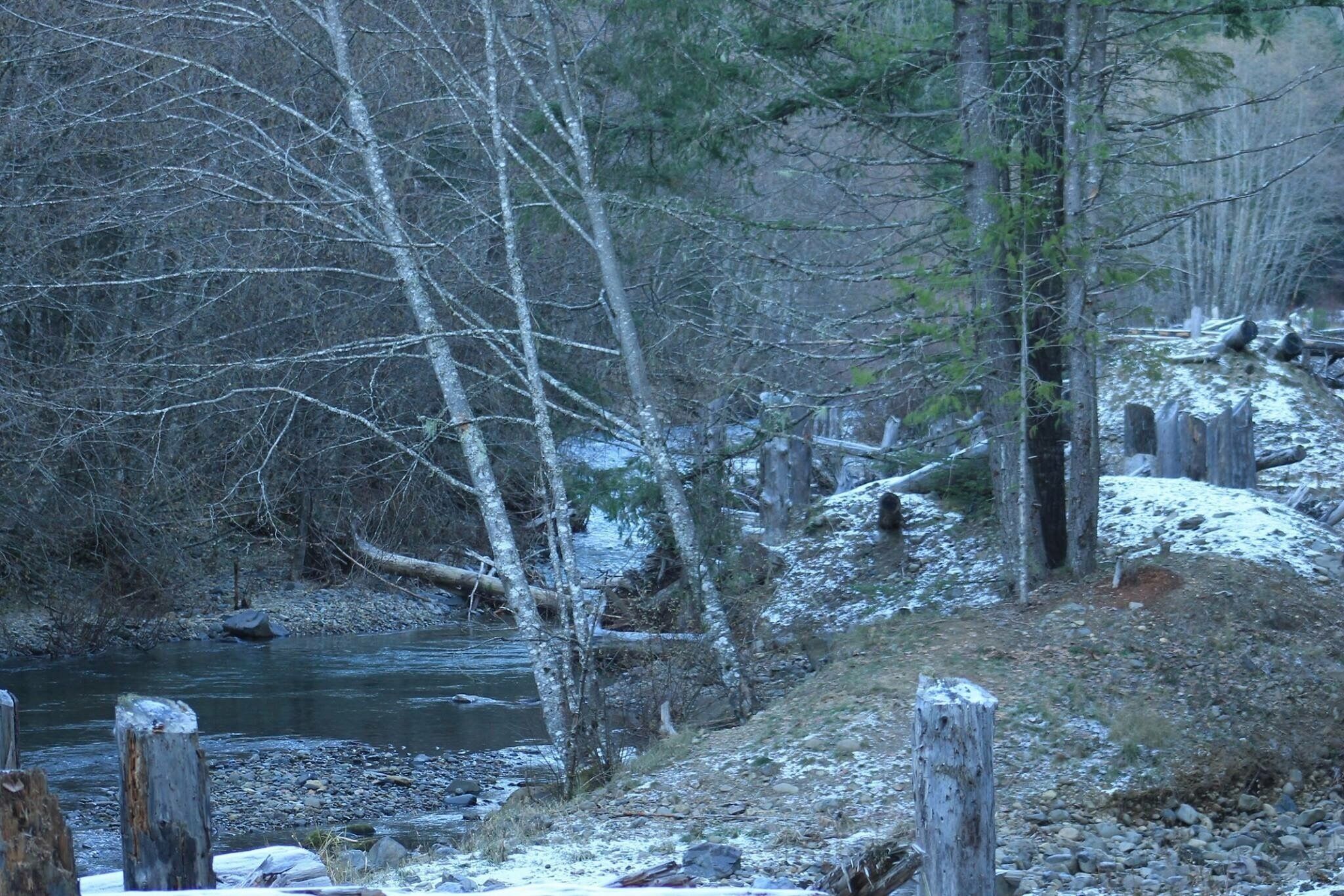 A river flowing through a forested area with snow on the ground and trees.
