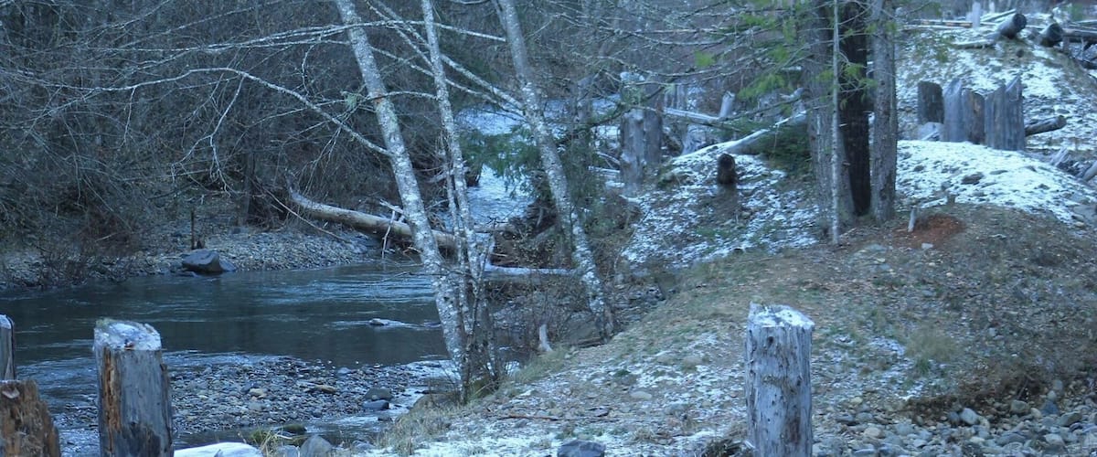 A river flowing through a forested area with snow on the ground and trees.