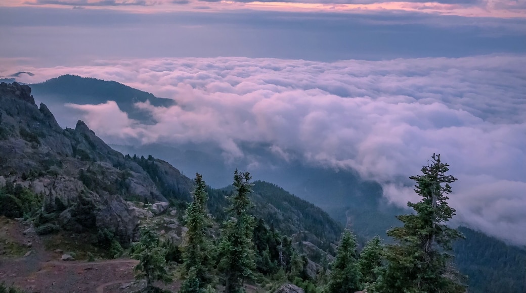 #AboveItAll at Mount Ellinor in the Olympic National Park. Woke up at 2am, drove to the trailhead and started hiking around 4:30am. Made it to the top around 6am and enjoyed watching the sun come up from behind the clouds. It was a magical morning and I’m thankful to be living in a state where views like this are just a few hours away.