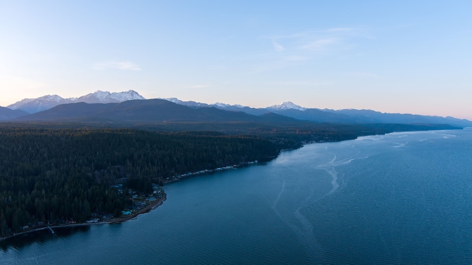 A coastal landscape with a forested area, a river, and snow-capped mountains in the background.