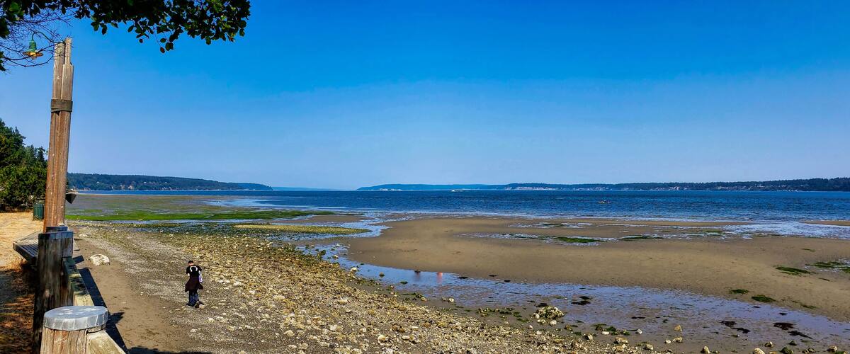 A rocky shoreline with a wooden post and a person walking.