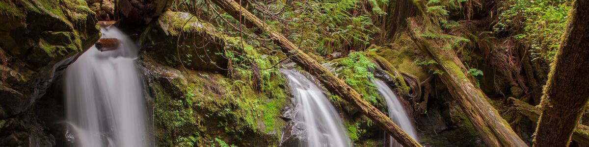 Ein Wasserfall stürzt über moosbewachsene Felsen in einem bewaldeten Gebiet.