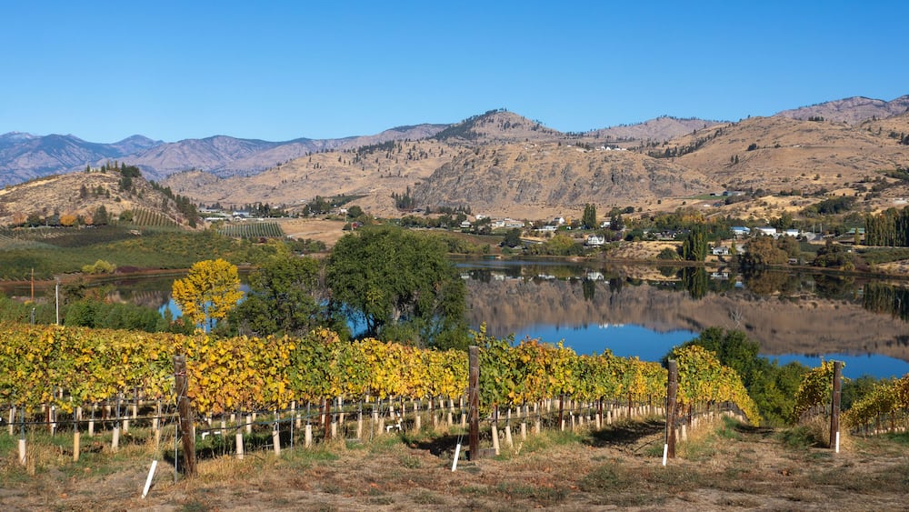 Fall colors of vines and trees and the reflective beauty of Roses Lake near Manson Washington set a beautiful calming scene.