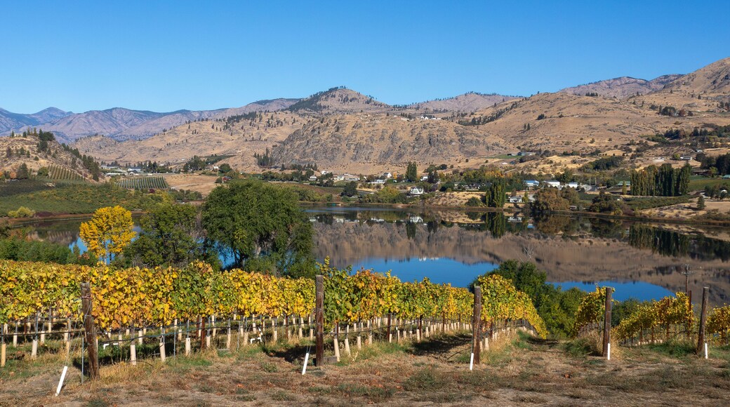 Fall colors of vines and trees and the reflective beauty of Roses Lake near Manson Washington set a beautiful calming scene.