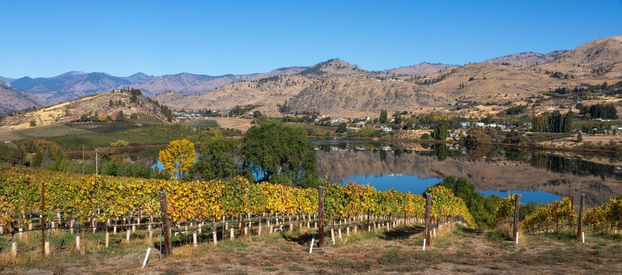 Fall colors of vines and trees and the reflective beauty of Roses Lake near Manson Washington set a beautiful calming scene.
