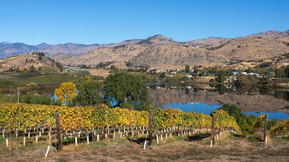 Fall colors of vines and trees and the reflective beauty of Roses Lake near Manson Washington set a beautiful calming scene.