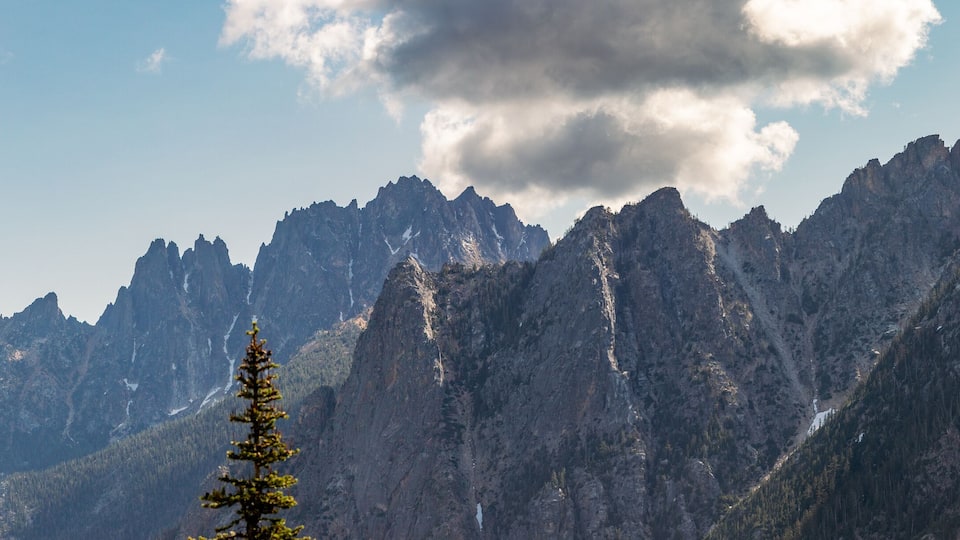 A mountain range with rugged peaks and a prominent tree in the foreground.