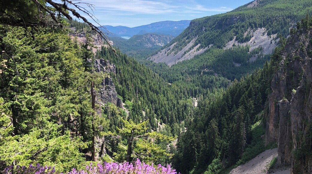 Deep valleys seen from Hwy 12.
#Nature