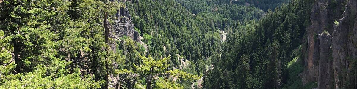 Deep valleys seen from Hwy 12.
#Nature