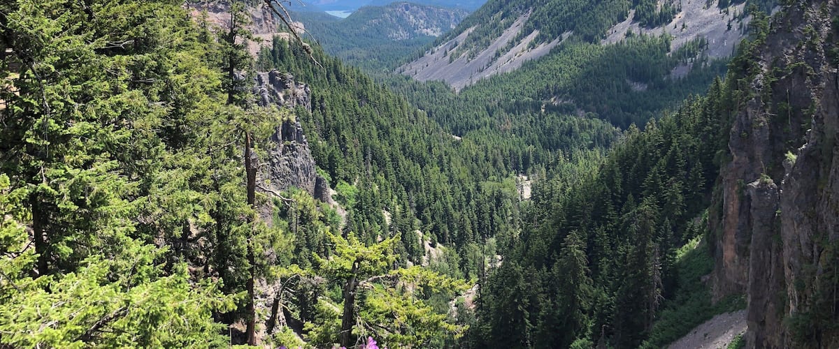Deep valleys seen from Hwy 12.
#Nature