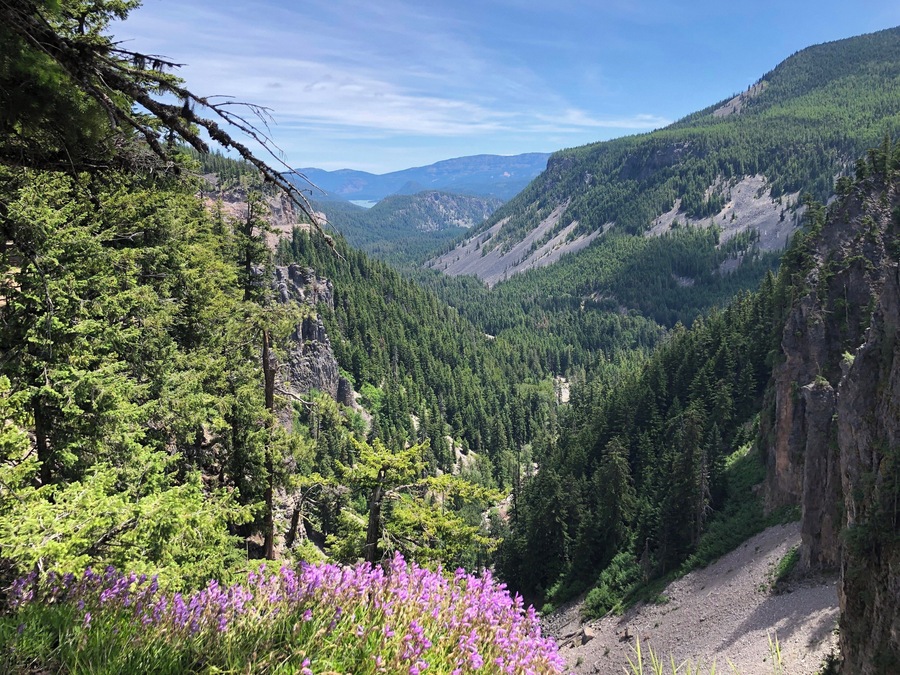 Deep valleys seen from Hwy 12.
#Nature