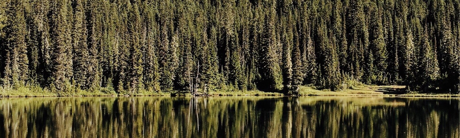 Reflection lake is named that for a reason.