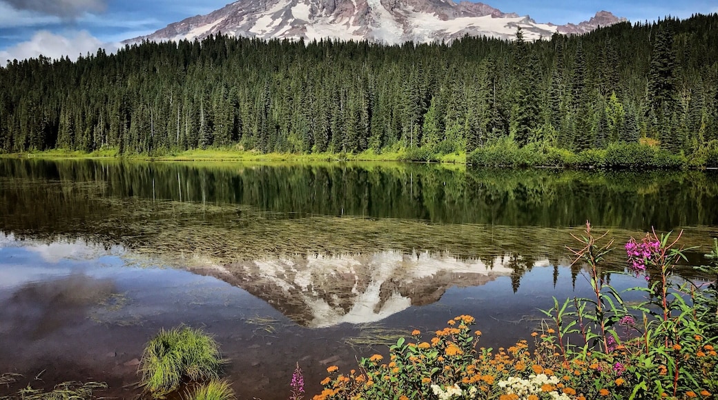 Mount Rainier, gloriously reflected....
Reflection Lake in late summer/early fall afternoon. It's one of the best spots to photograph Mt. Rainier on a clear day...
#BestHikes
#NationalParks
#MountRainier
#GreatOutdoors