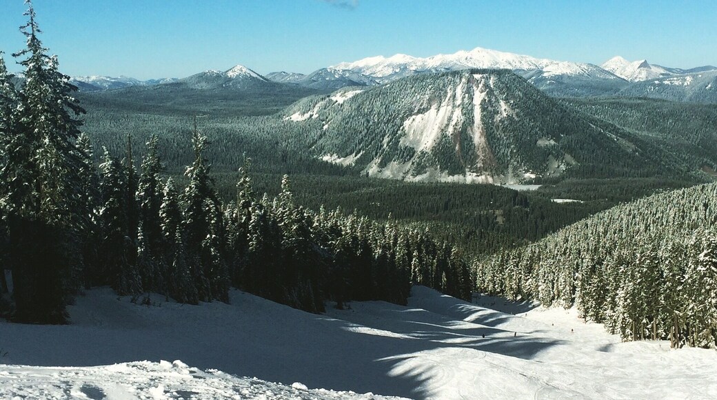 Beautiful day for a beginner! Feeling it today. 💙 snowboarding.