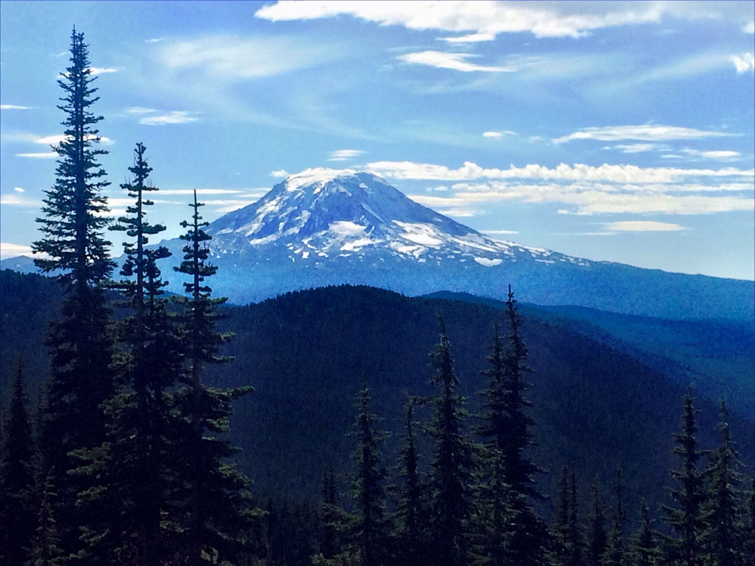 View of Mount Adams

#snow