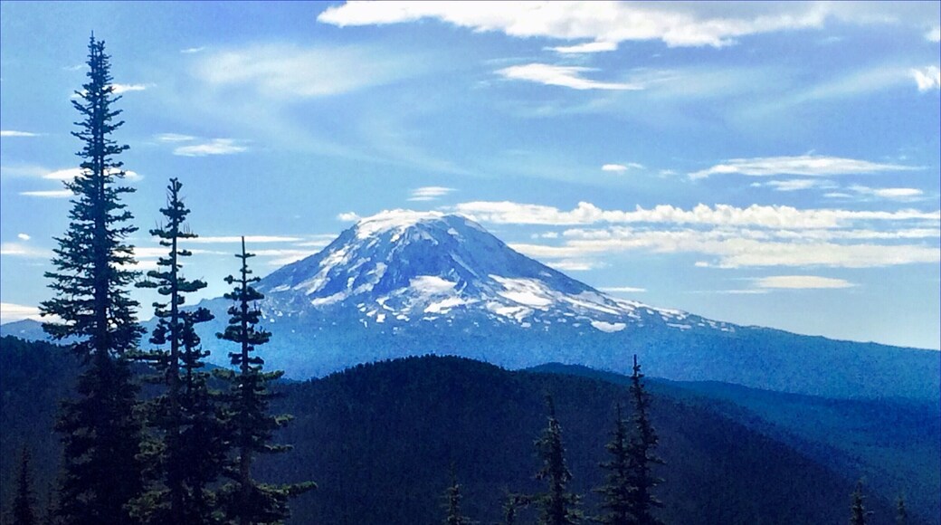 View of Mount Adams
#snow