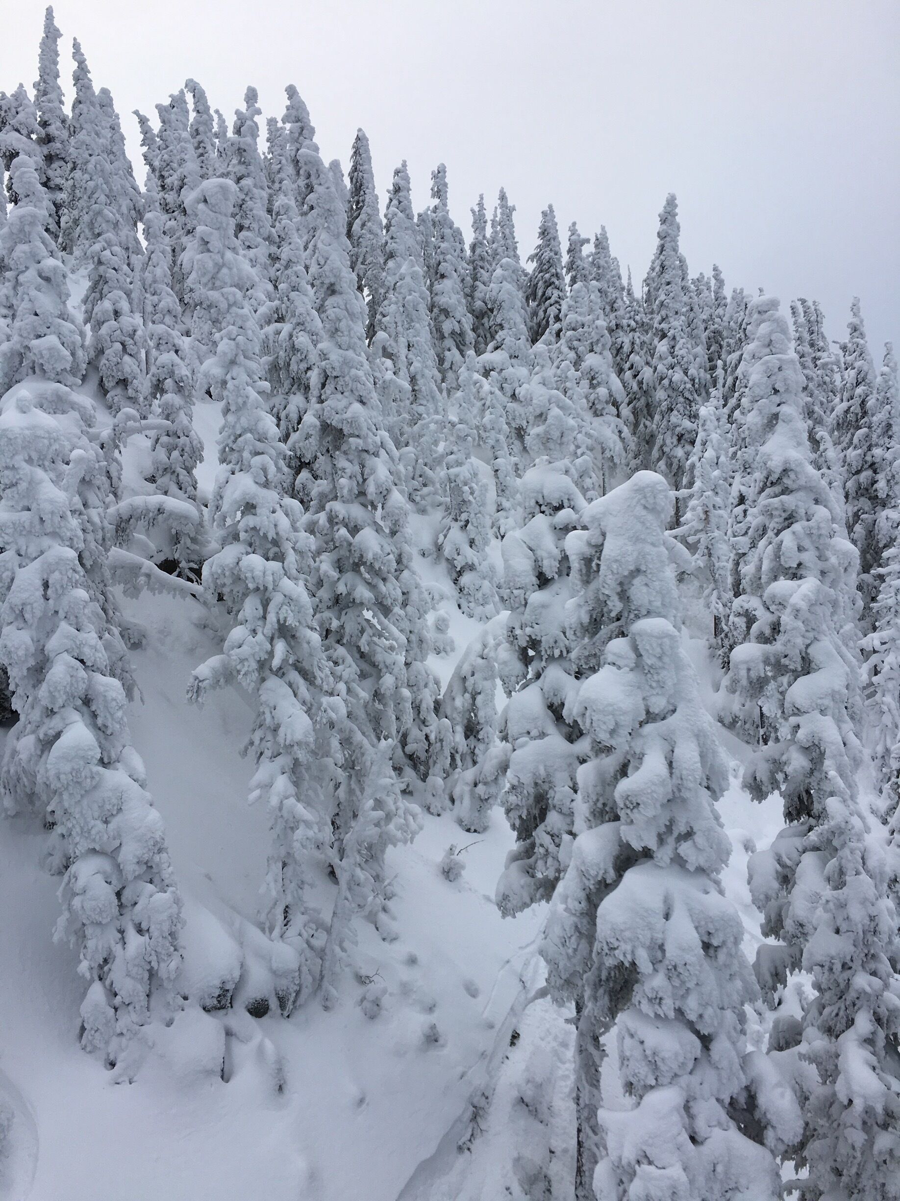 This scene makes it clear why it’s called White Pass