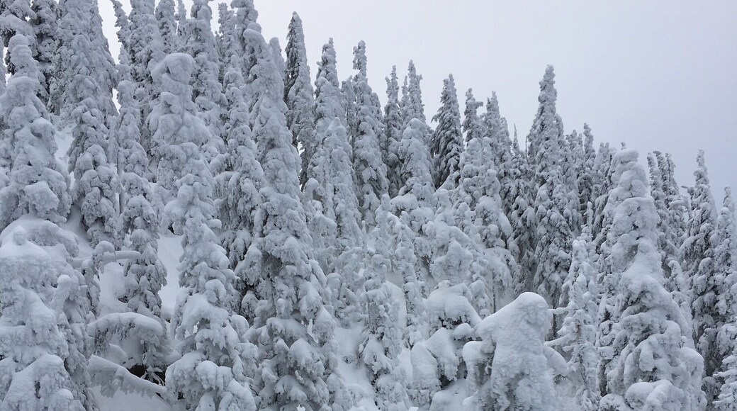 This scene makes it clear why it’s called White Pass