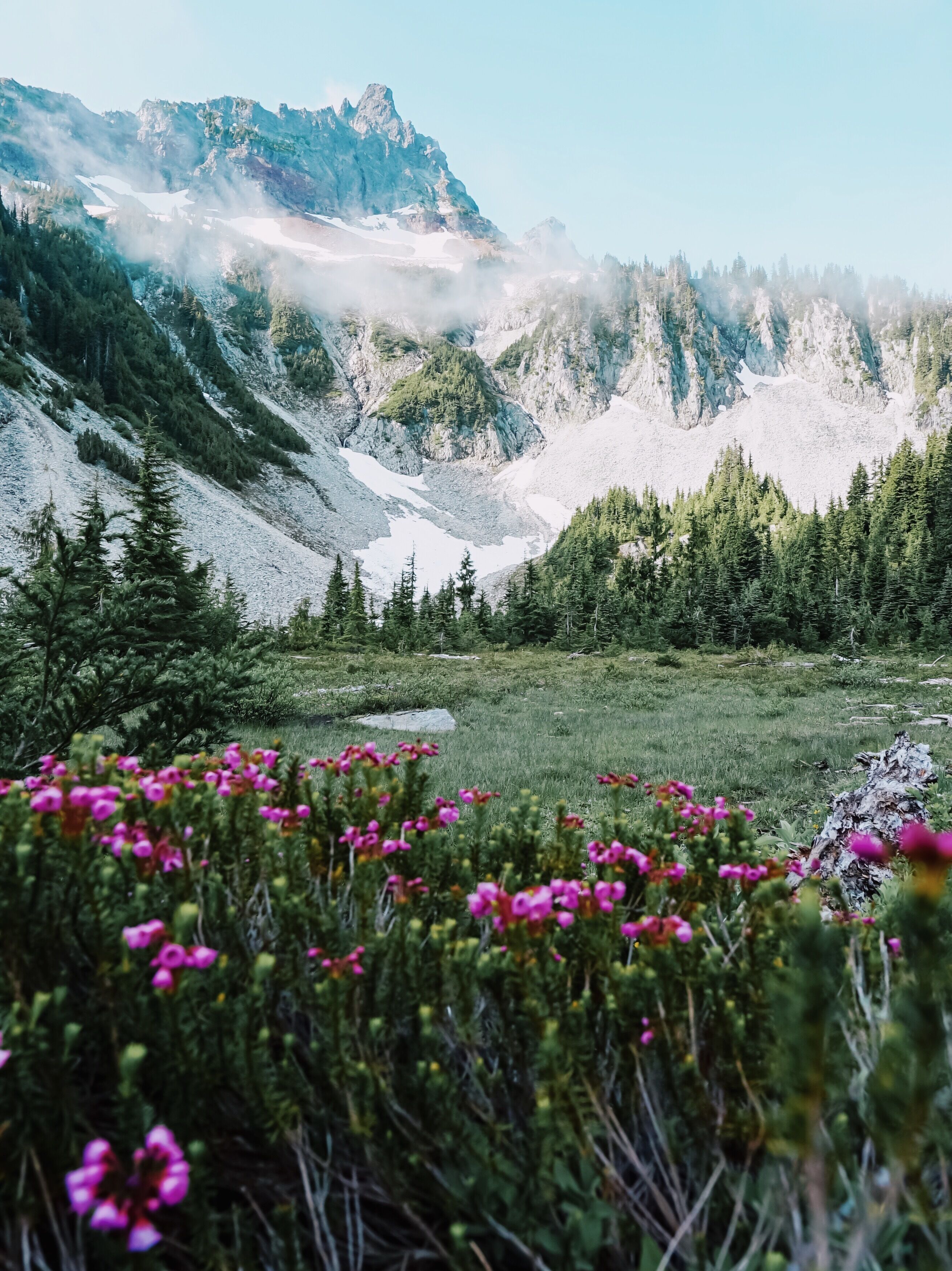 Mount Rainier is so beautiful this time of the year. The wildflowers are in full bloom. (as are the mosquitoes). This trail leads to Bench and Snow Lakes and is only 2.5 miles roundtrip. On the way back, you should stop by Louise Lake and Reflection Lakes. It's a beautiful area of the park to explore if you want to avoid the crowds at Paradise. #Nature
