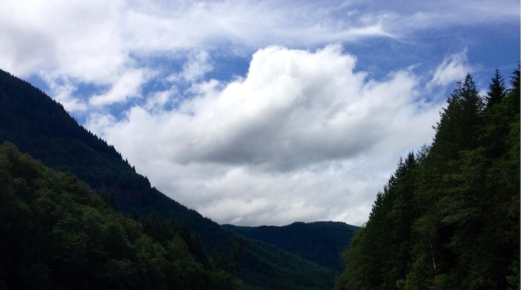 Beautiful and peaceful