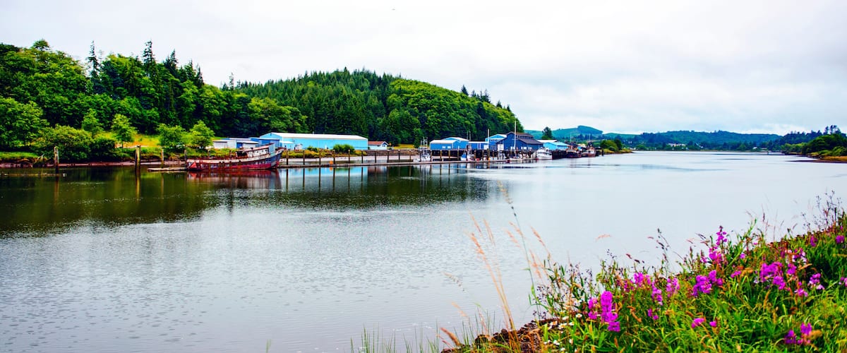A calm lake with boats docked on the shore, surrounded by lush greenery and a forested hill.