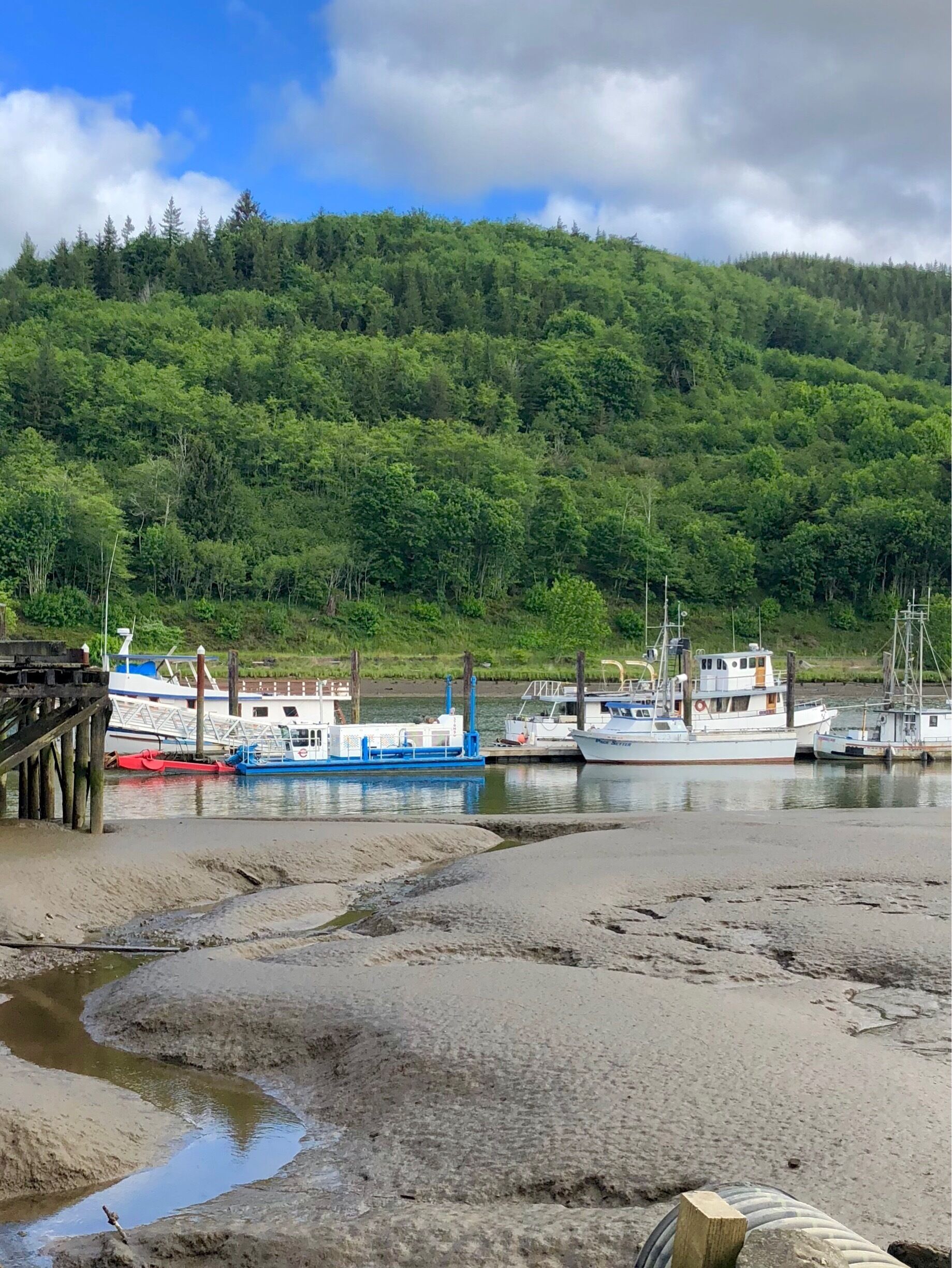 What seems to be becoming a theme. Images from the fabulous and famous highway 101. This shot is from this morning. It’s in Raymond Washington!