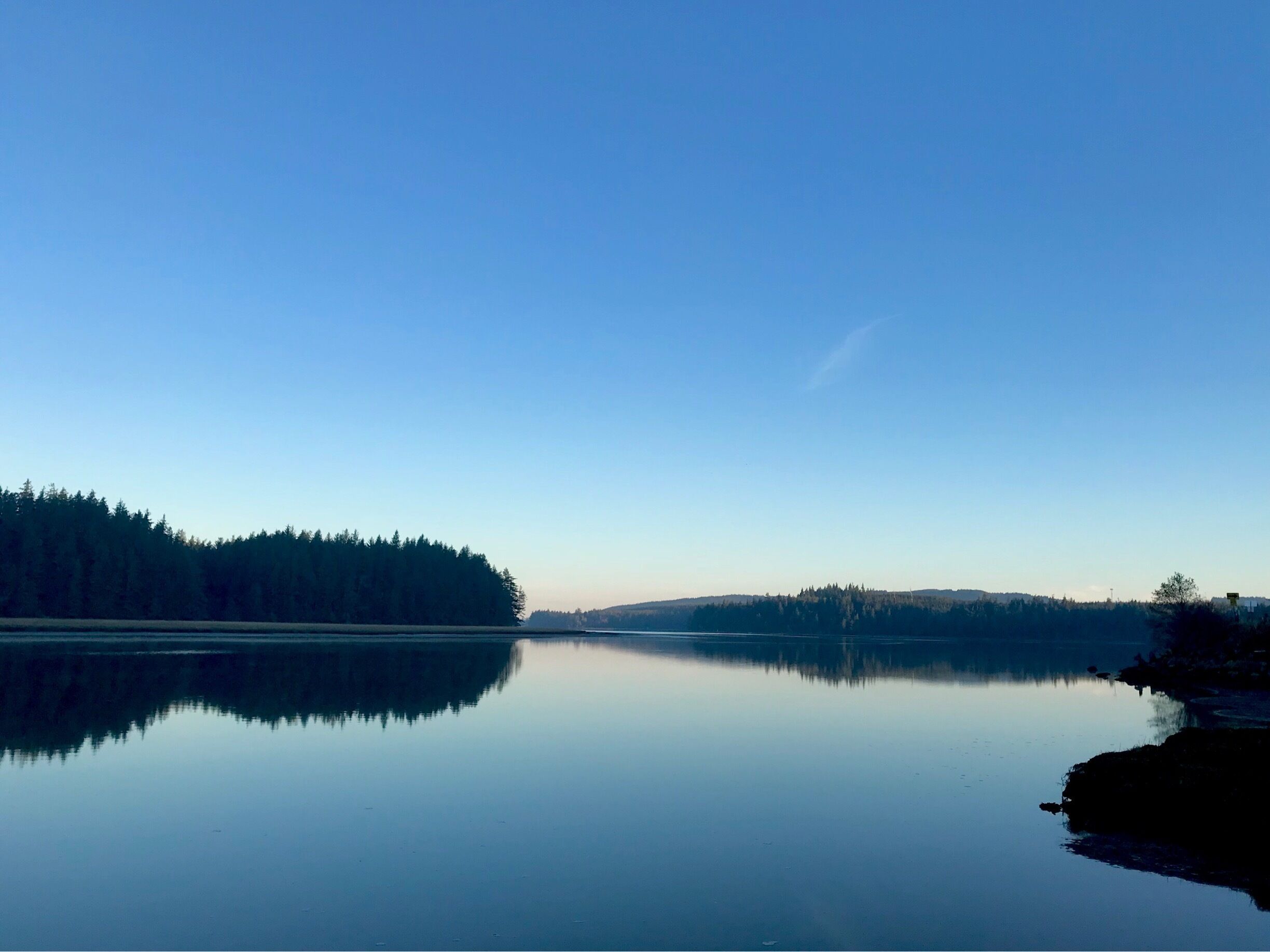 A beautiful morning driving on the famous highway 101. Willipa Bay is spectacular! 