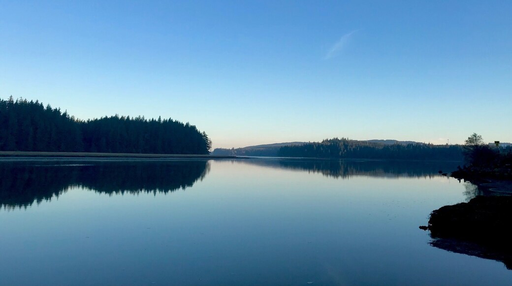 A beautiful morning driving on the famous highway 101. Willipa Bay is spectacular!