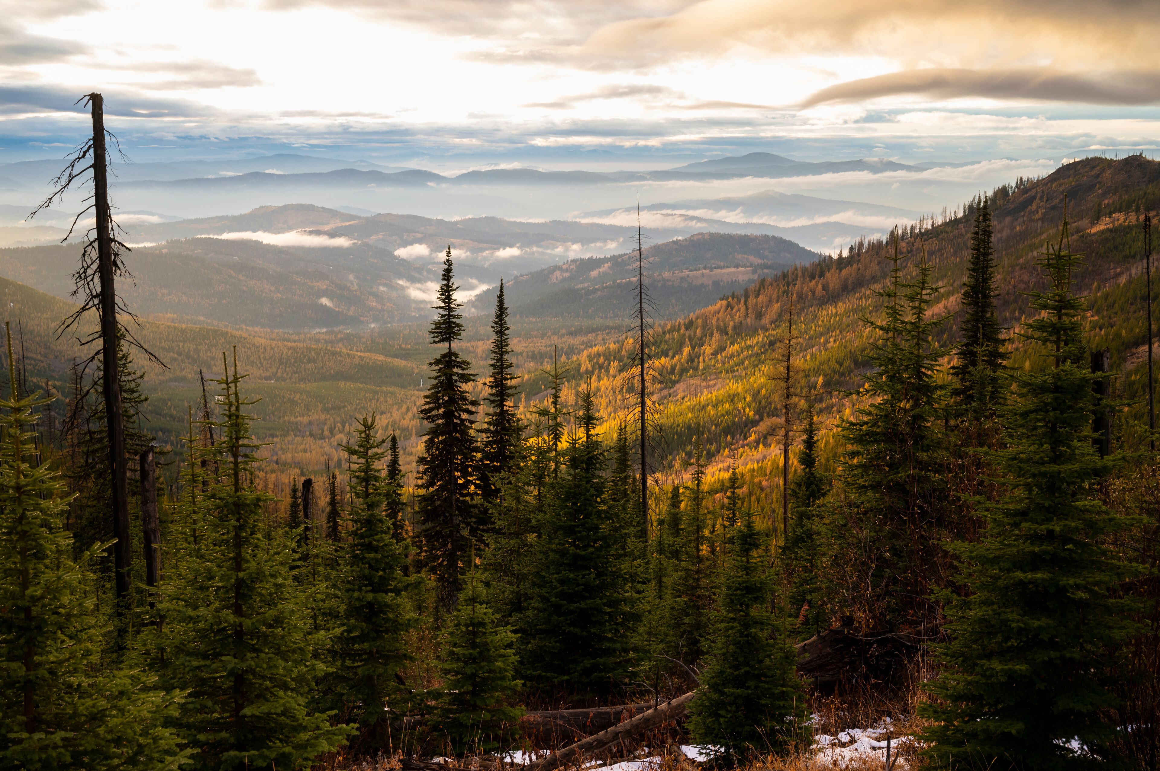 Colville National Forest In The Fall