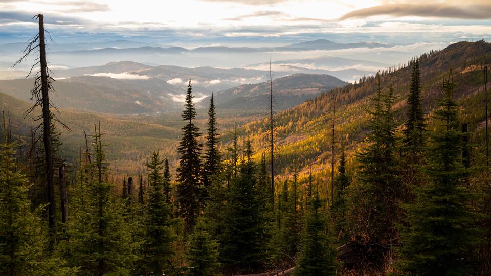 A mountainous landscape with dense forests and a view of distant mountains under a cloudy sky.
